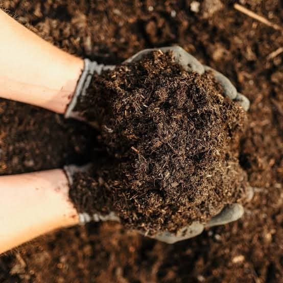 Soil Testing for Heavy Metals